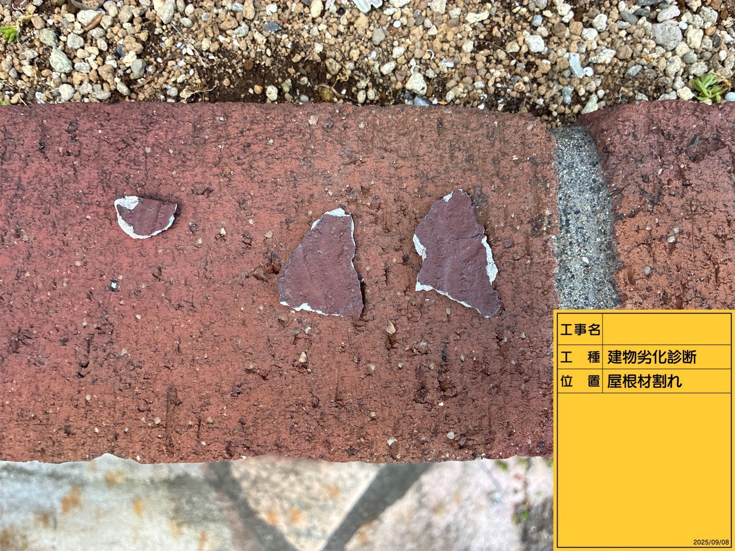 庭に落ちていたスレート屋根の破片